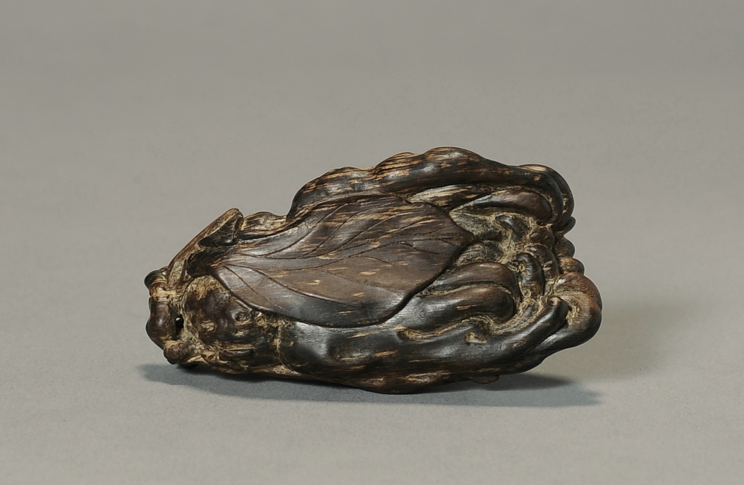 爽爽窝窝午夜精品一区二区