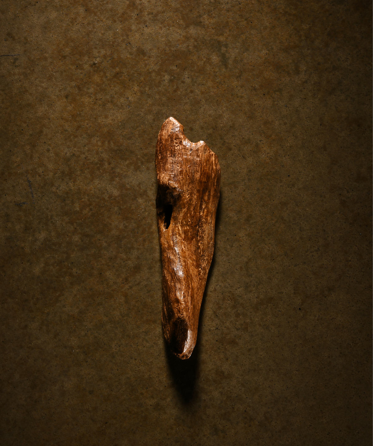 爽爽窝窝午夜精品一区二区