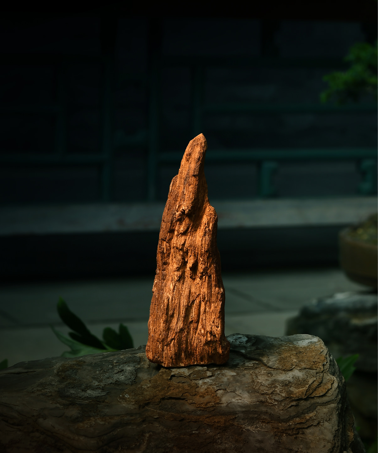 爽爽窝窝午夜精品一区二区