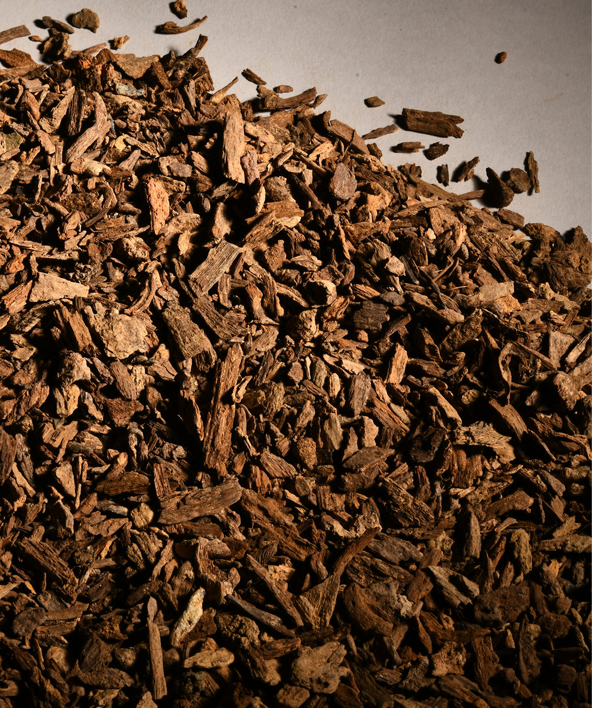 爽爽窝窝午夜精品一区二区