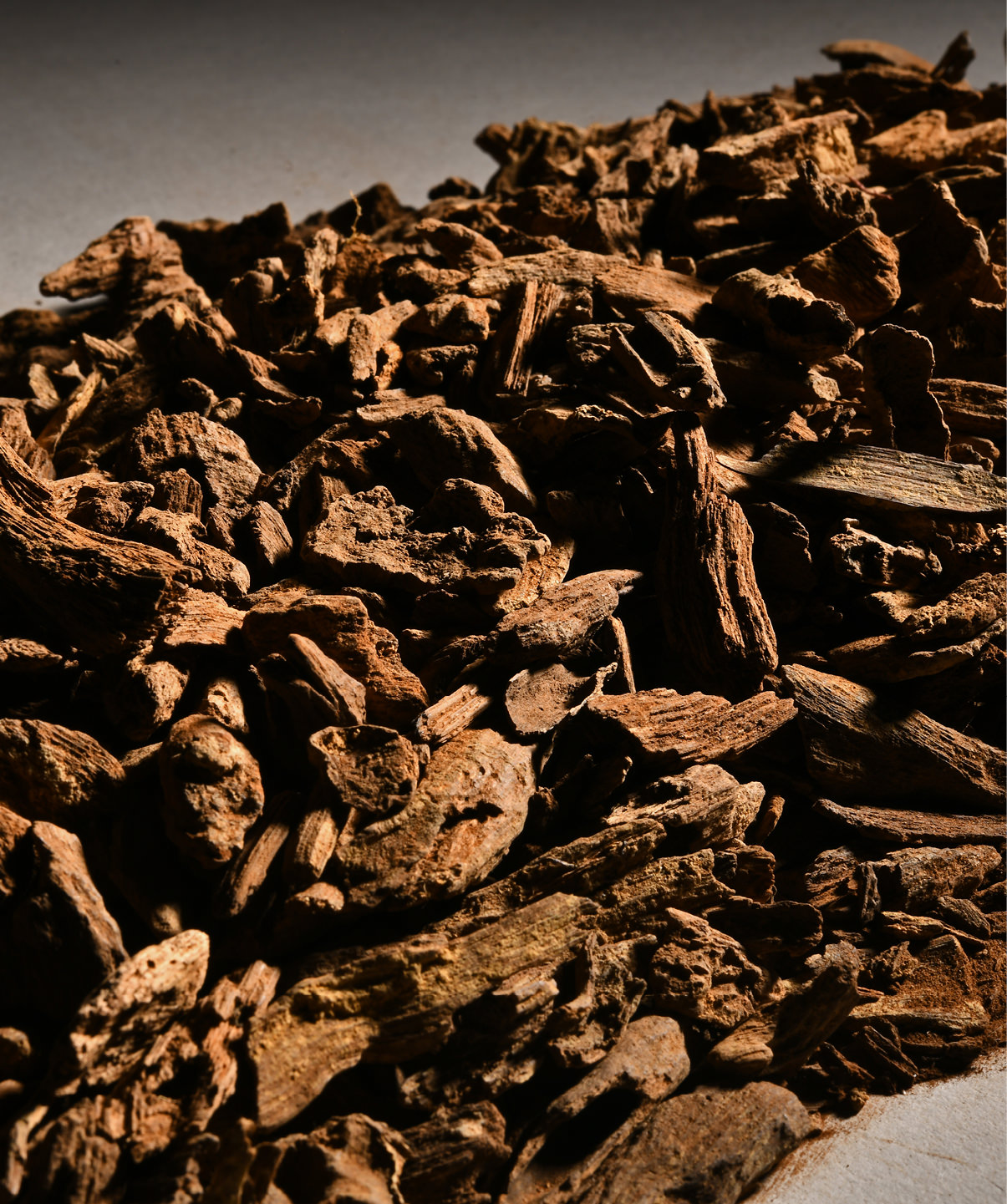 爽爽窝窝午夜精品一区二区