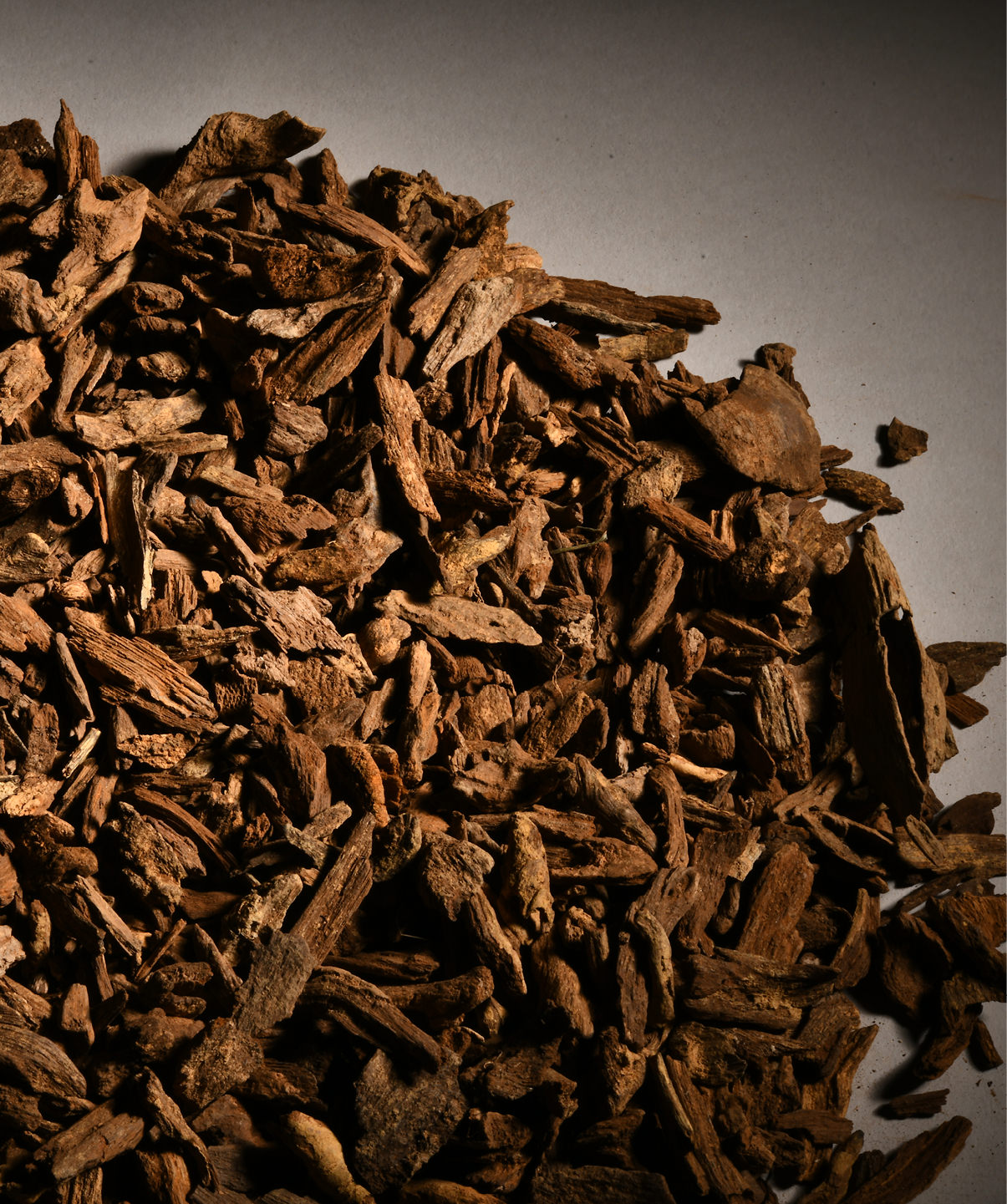 爽爽窝窝午夜精品一区二区