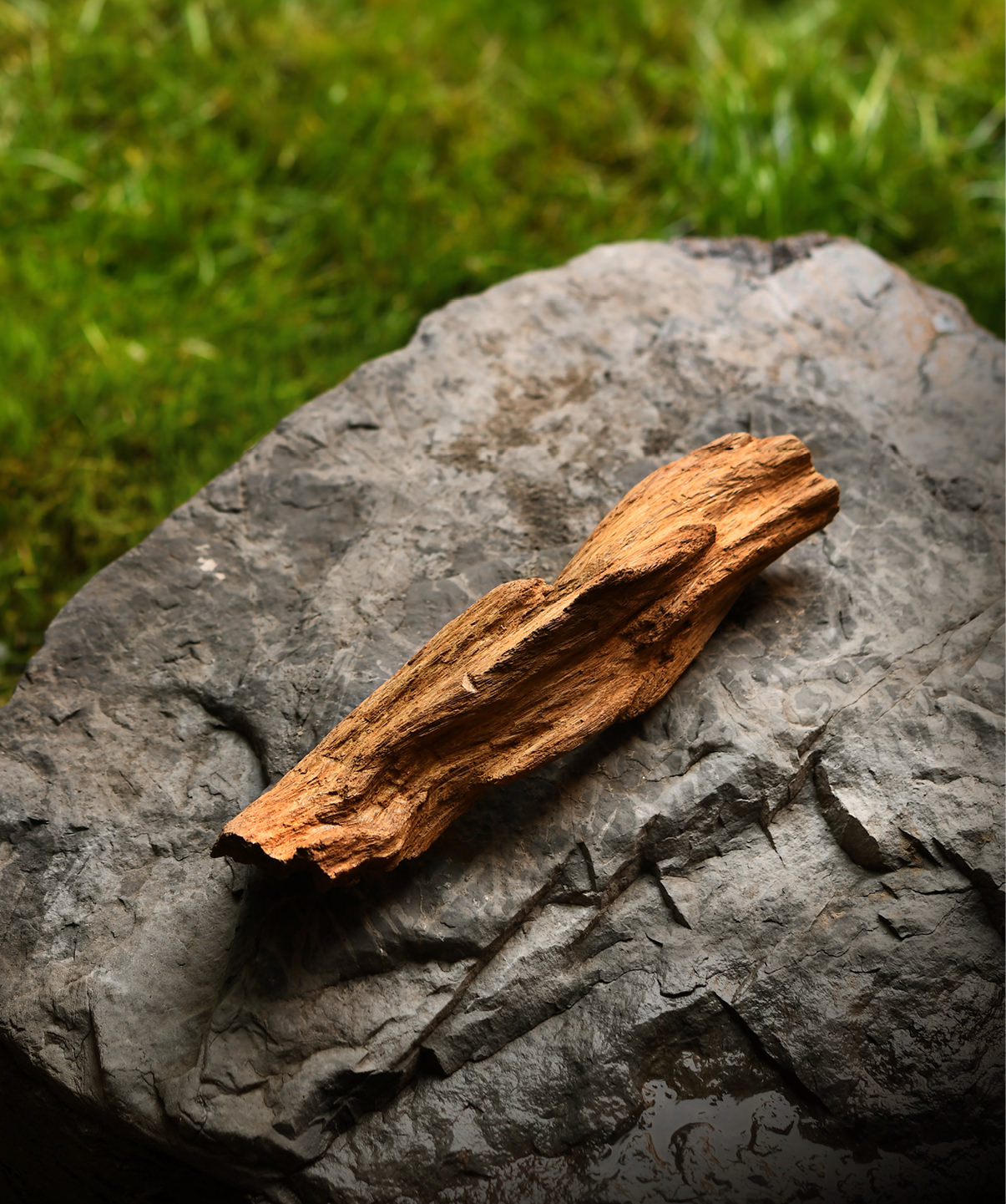 爽爽窝窝午夜精品一区二区