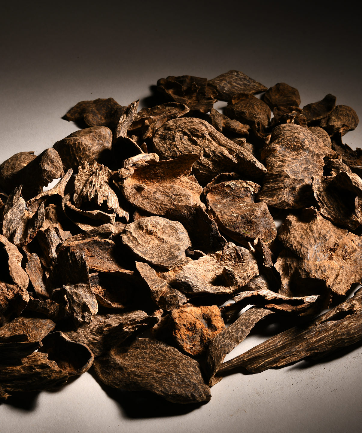 爽爽窝窝午夜精品一区二区