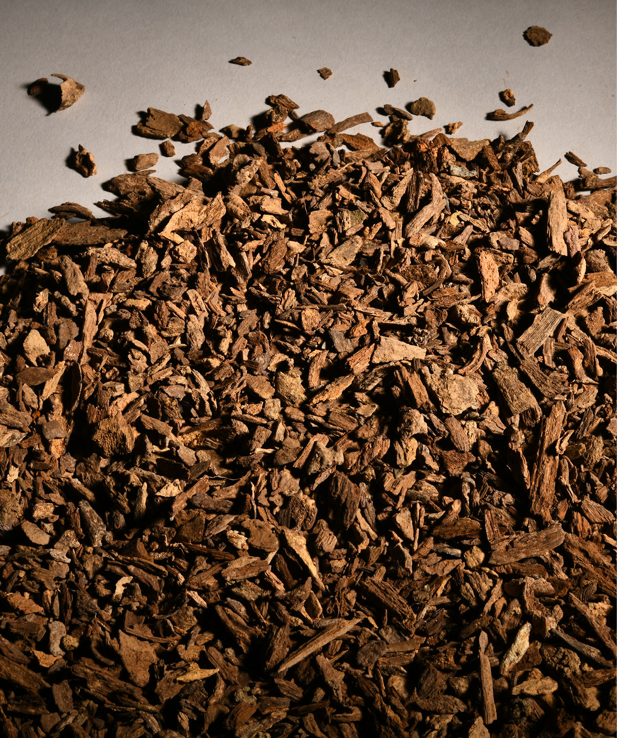 爽爽窝窝午夜精品一区二区