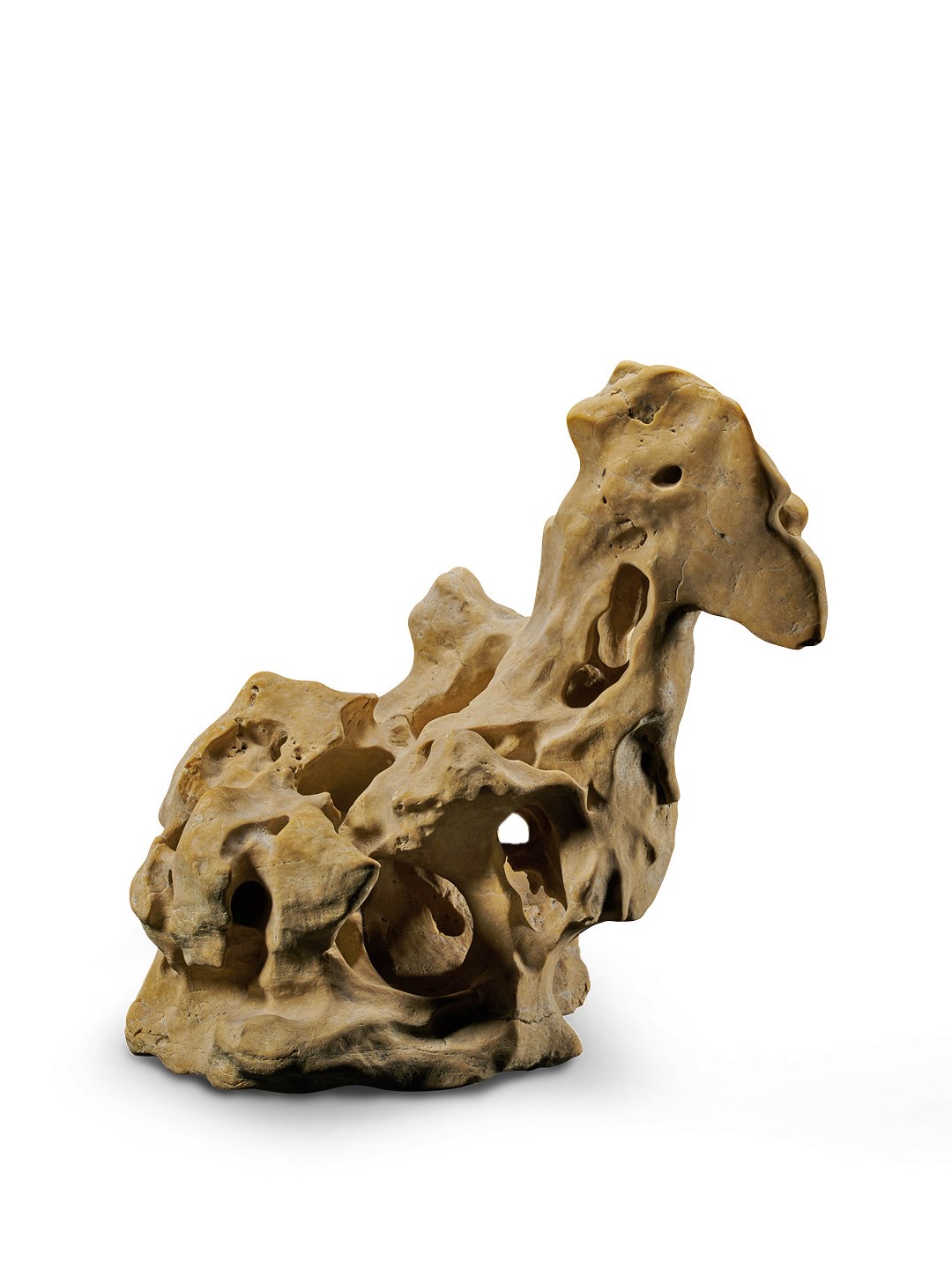 爽爽窝窝午夜精品一区二区