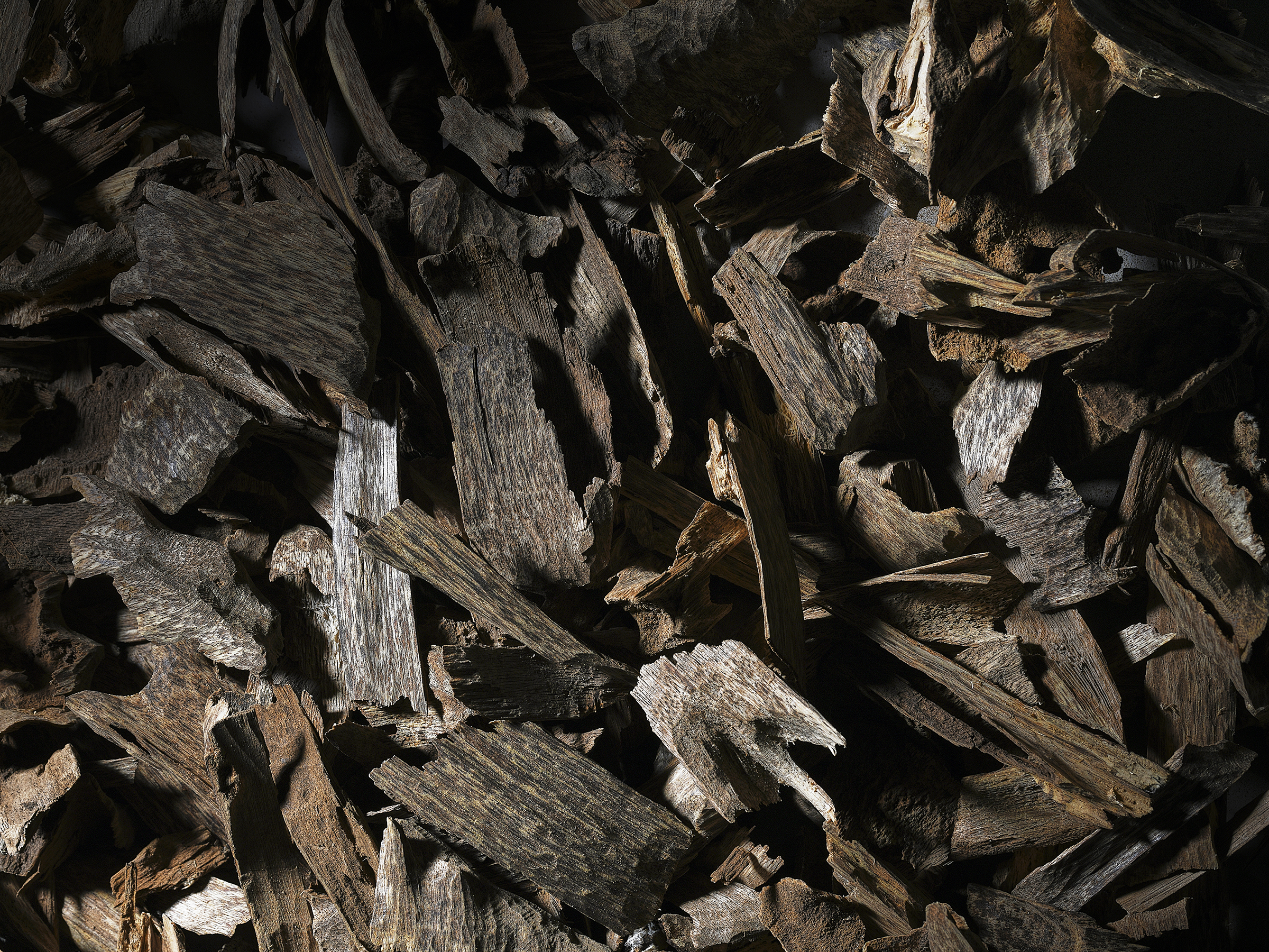 爽爽窝窝午夜精品一区二区