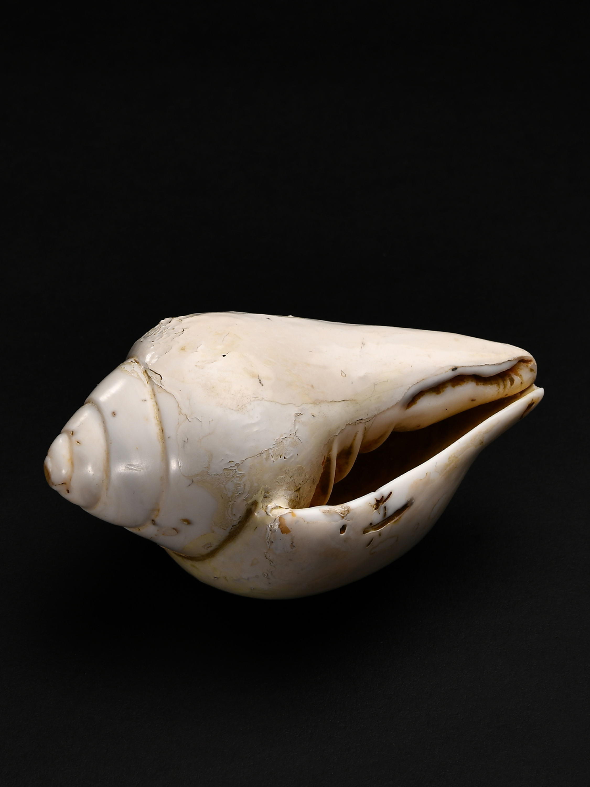 爽爽窝窝午夜精品一区二区