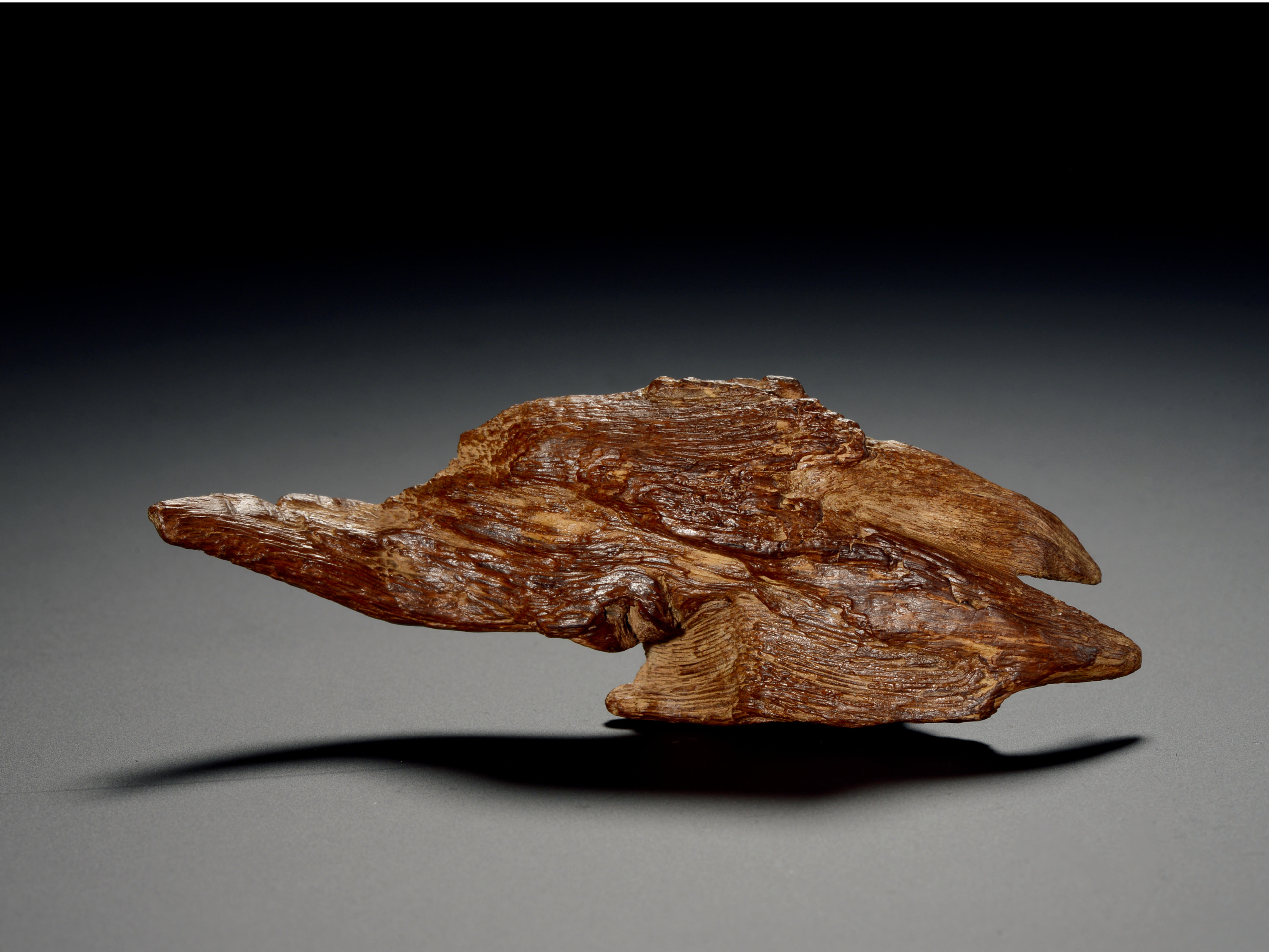 爽爽窝窝午夜精品一区二区