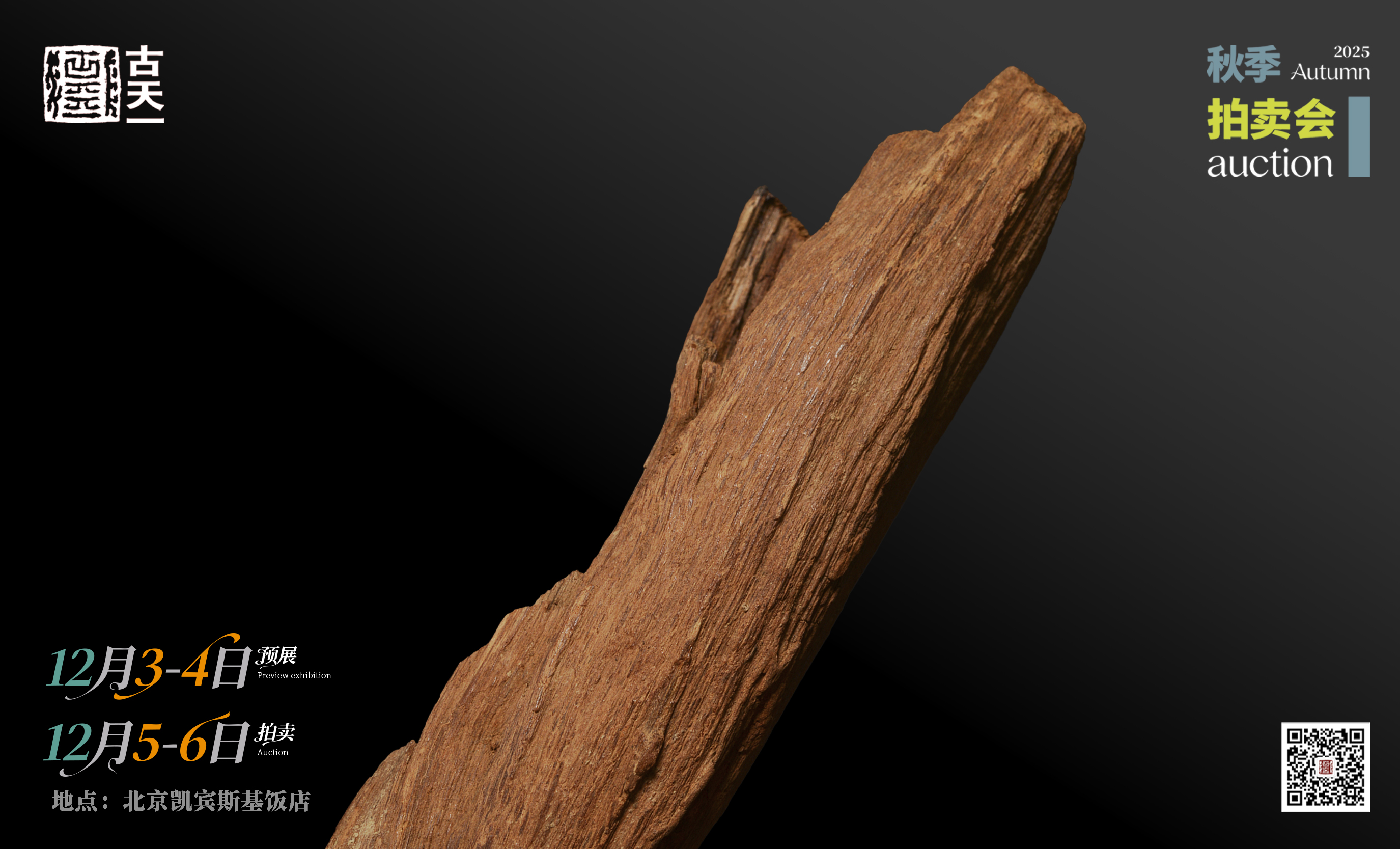 爽爽窝窝午夜精品一区二区