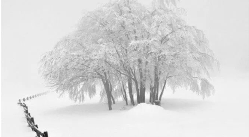 爽爽窝窝午夜精品一区二区