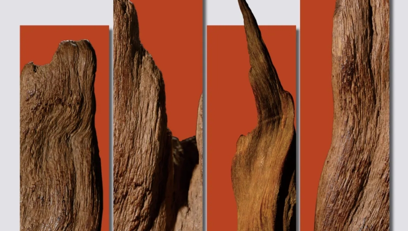 爽爽窝窝午夜精品一区二区