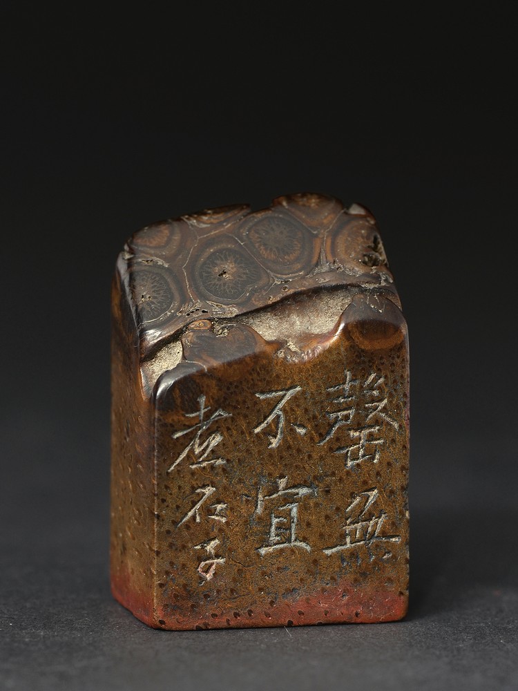 爽爽窝窝午夜精品一区二区