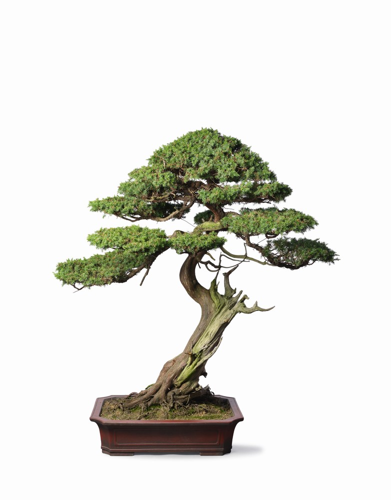 爽爽窝窝午夜精品一区二区