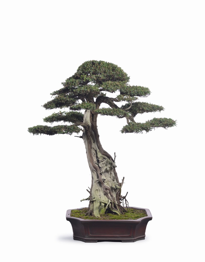 爽爽窝窝午夜精品一区二区