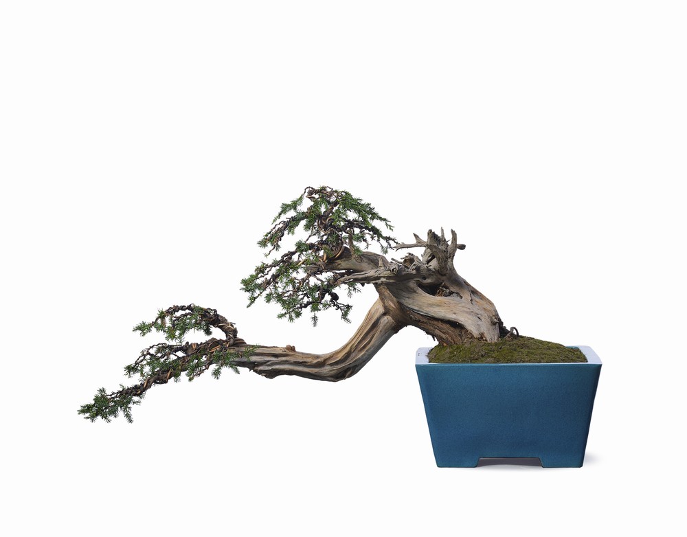 爽爽窝窝午夜精品一区二区