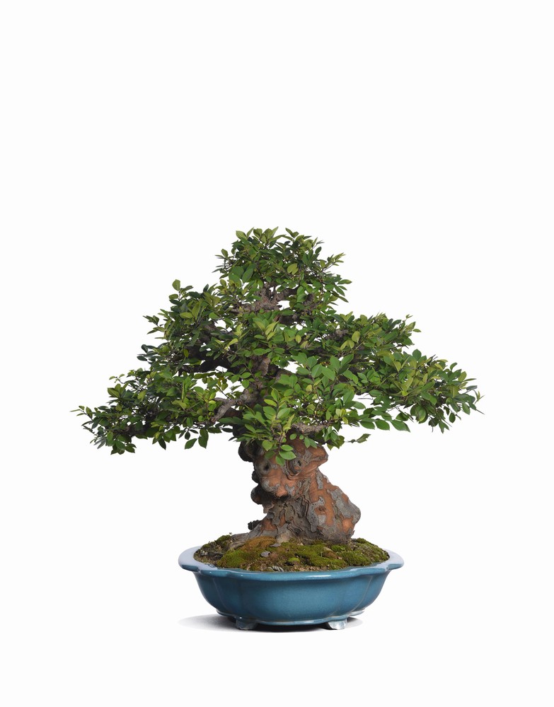 爽爽窝窝午夜精品一区二区