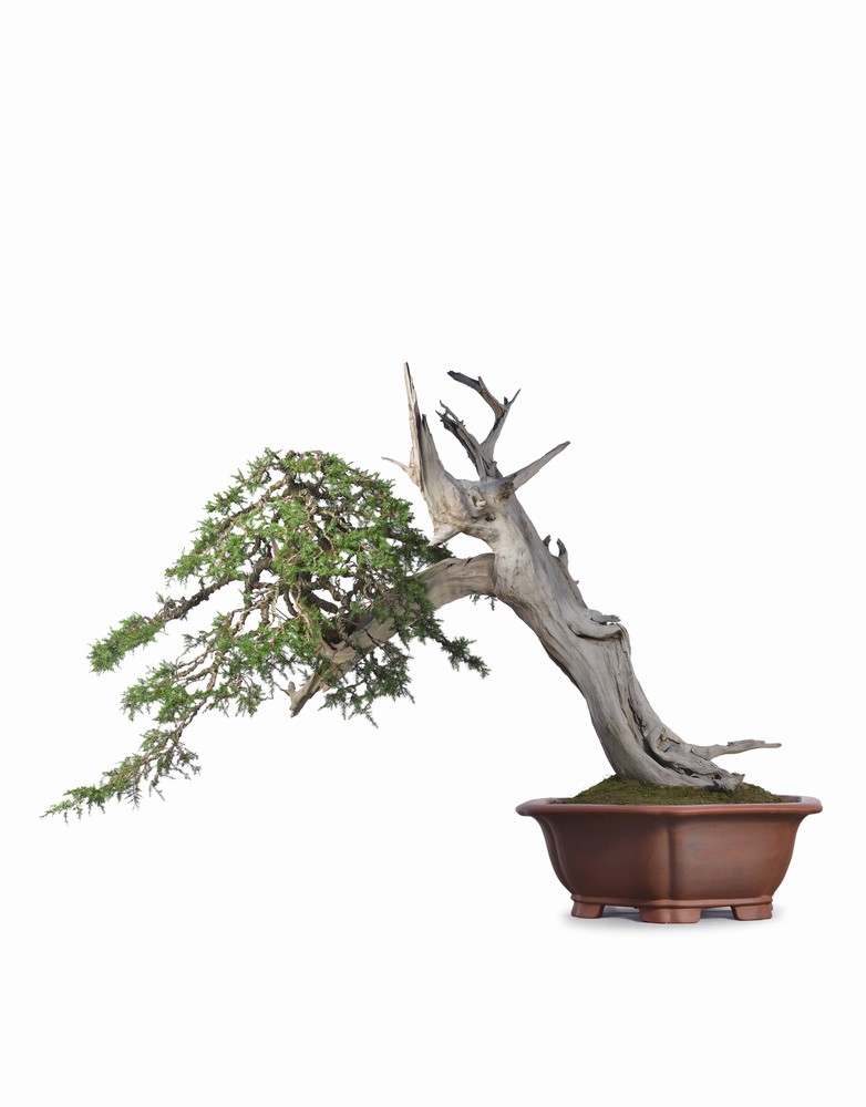 爽爽窝窝午夜精品一区二区