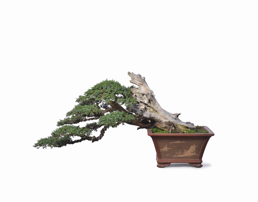 爽爽窝窝午夜精品一区二区