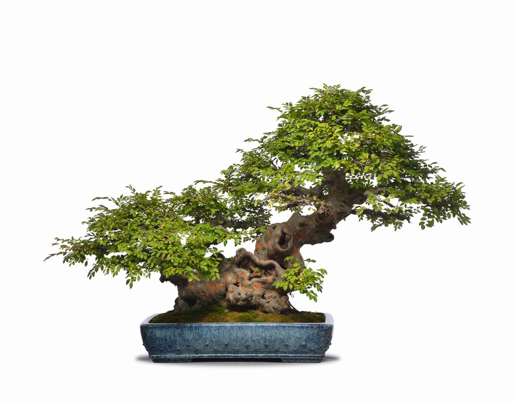 爽爽窝窝午夜精品一区二区