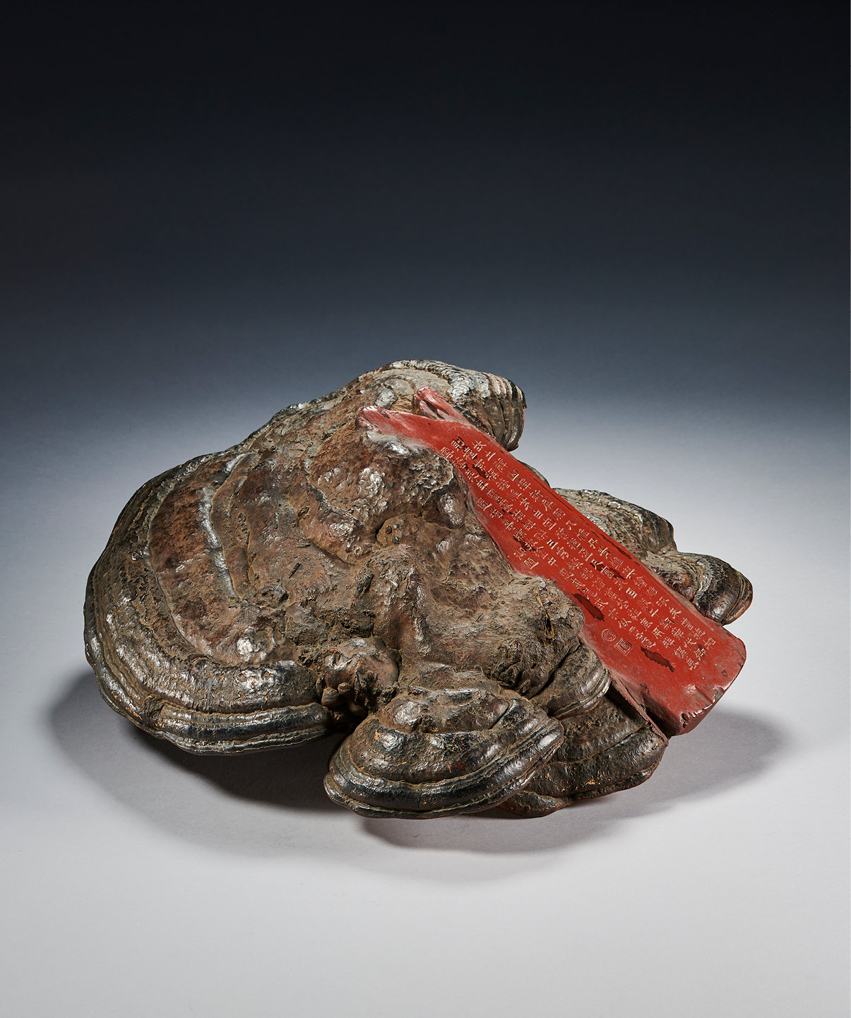 爽爽窝窝午夜精品一区二区