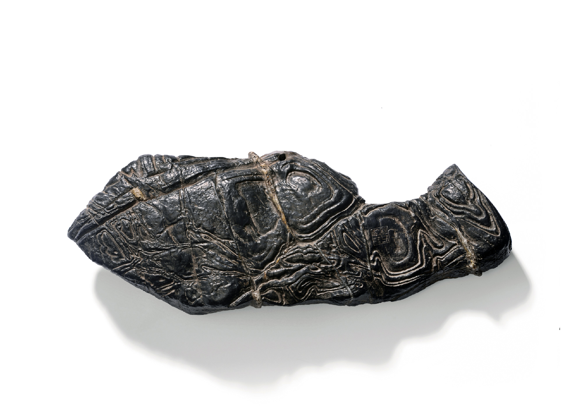 爽爽窝窝午夜精品一区二区