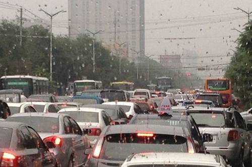 明安包装活动照