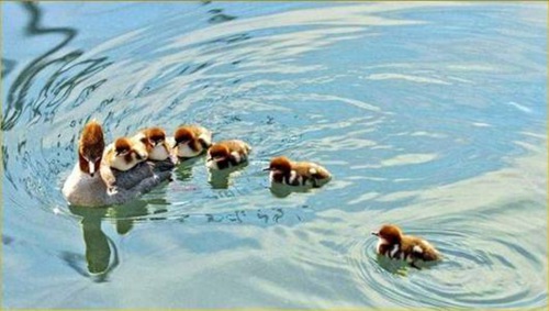 发现自然的美.jpg 发现自然的美.jpg