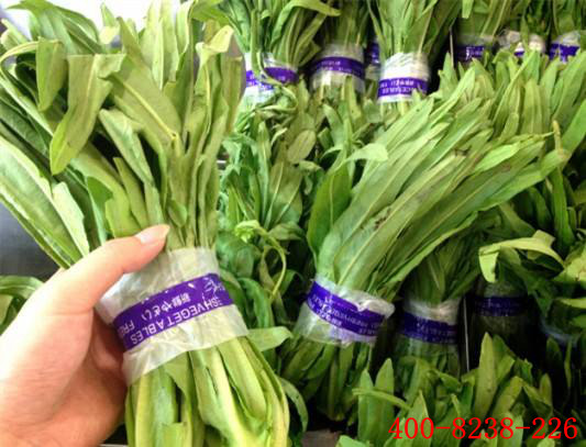 广州警示胶带厂家批发2 广州警示胶带厂家批发2