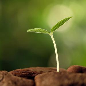 深圳高温胶带厂家明安成长图 深圳高温胶带厂家明安成长图