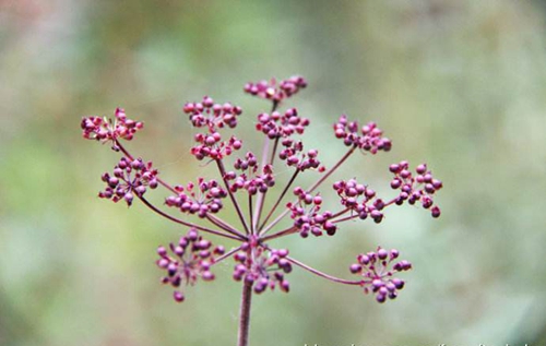 国庆展示图.jpg 国庆展示图.jpg